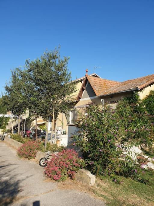 St Remy De Provence, La Maison Du Berger Saint-Andiol Kültér fotó
