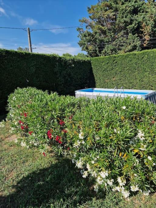St Remy De Provence, La Maison Du Berger Saint-Andiol Kültér fotó