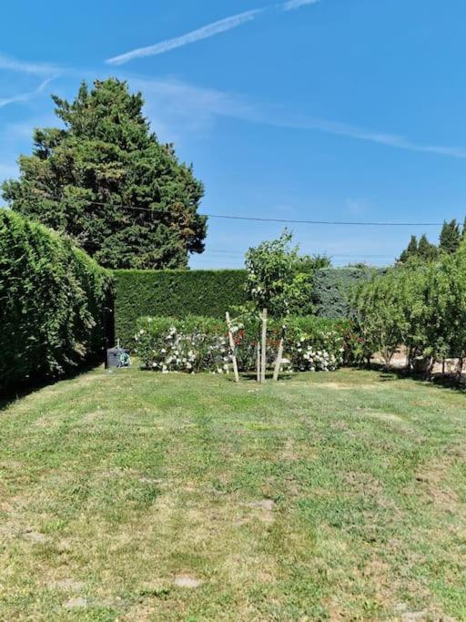 St Remy De Provence, La Maison Du Berger Saint-Andiol Kültér fotó