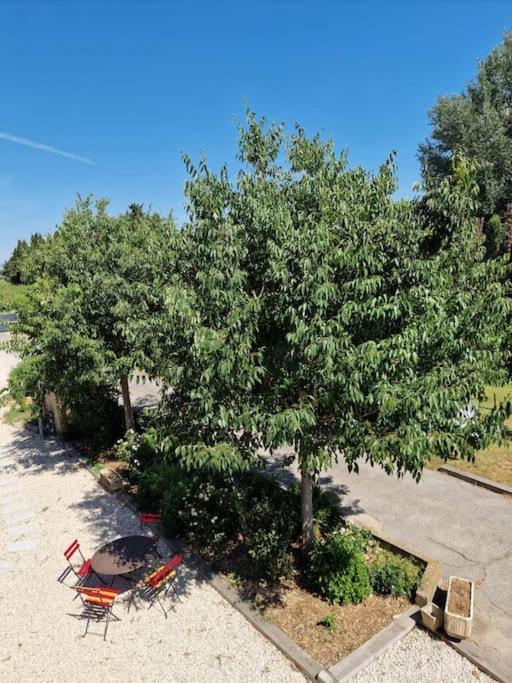 St Remy De Provence, La Maison Du Berger Saint-Andiol Kültér fotó